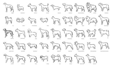 Şirin köpek soy ağacı vektör illüstrasyon kümesi üretir