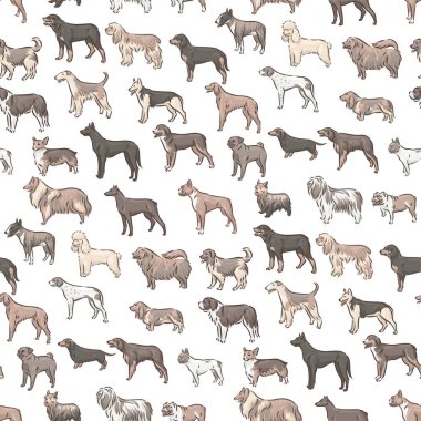 Şirin köpek soyu kusursuz desensiz vektör çizimi üretir