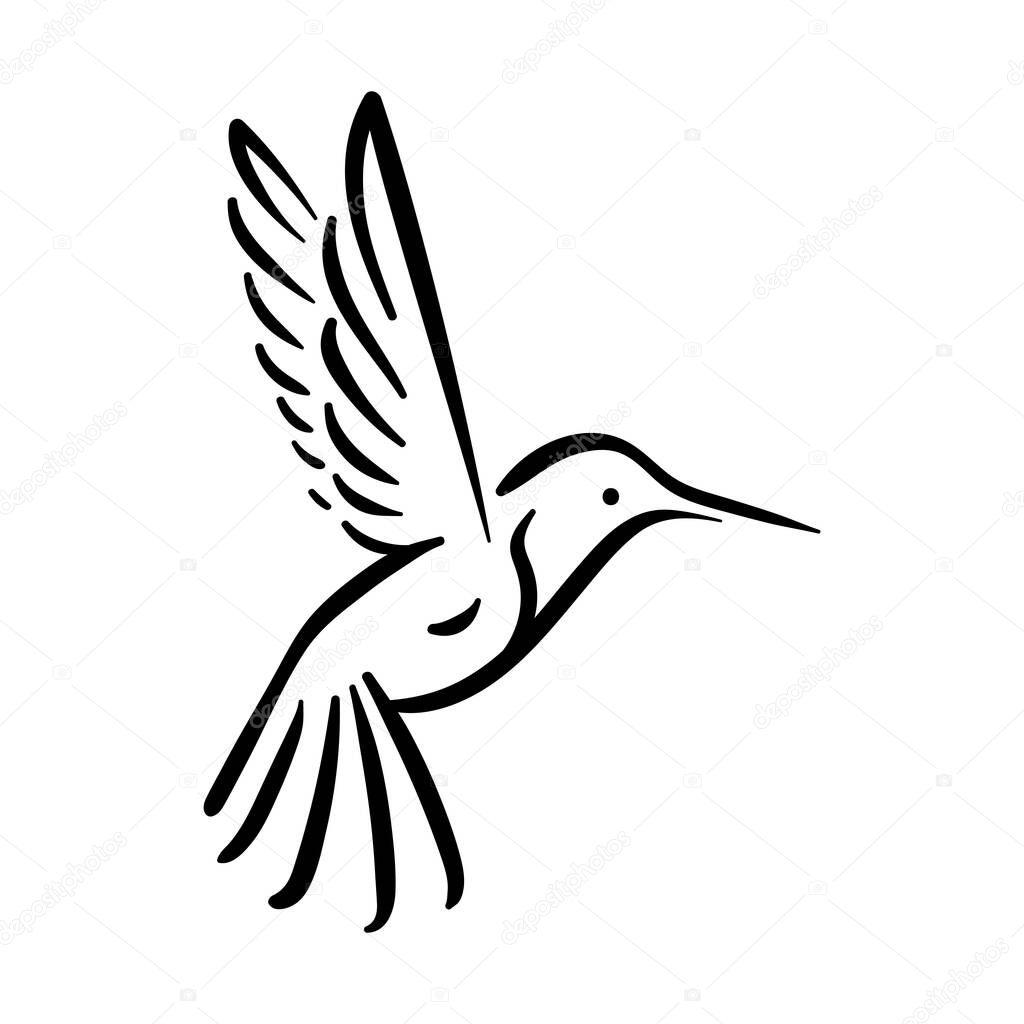 Colibri hummingbird flying bird line style illustration. Vector illustration