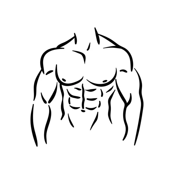 Bodybuilder fitness sport, homme à la salle de gym avec des muscles. — Image vectorielle