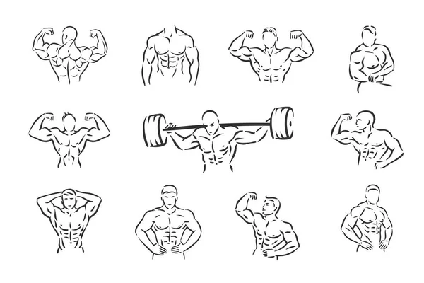 Bodybuilder fitness sport, homme à la salle de gym avec des muscles. — Image vectorielle