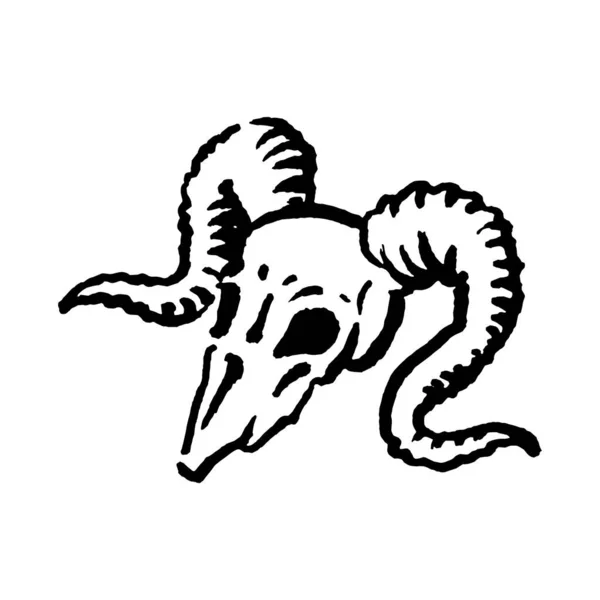 Mística magia bruja carnero cráneo ilustración dibujada a mano — Archivo Imágenes Vectoriales