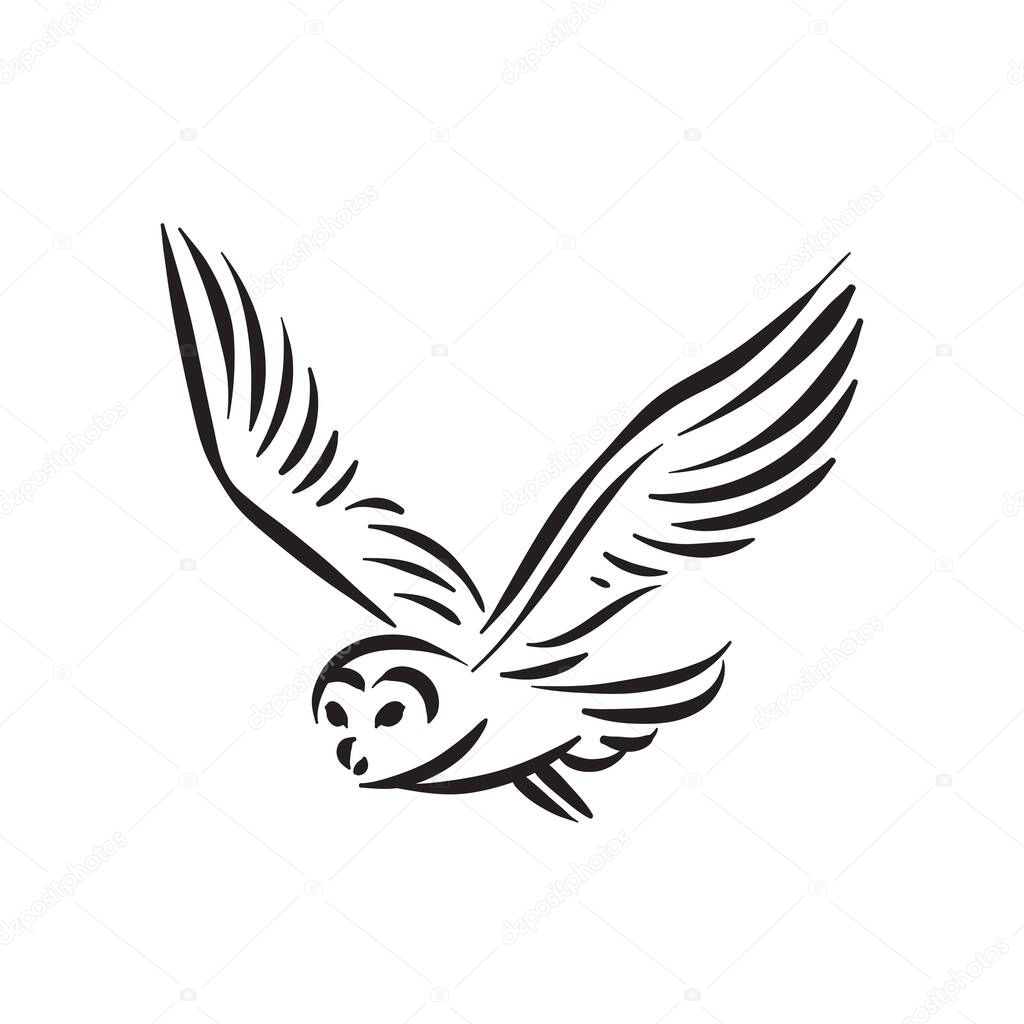 Line style owl bird hand drawn illustration. Vector illustration