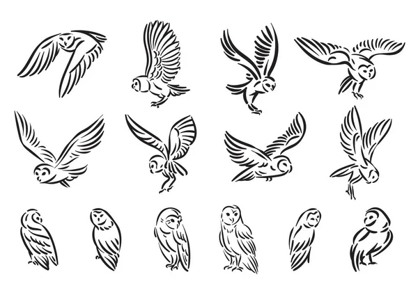 Línea estilo búho pájaro dibujado a mano ilustración conjunto — Archivo Imágenes Vectoriales