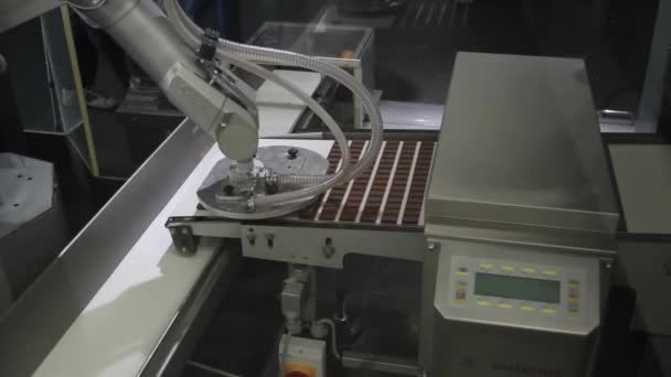 脯氨酸含量的巧克力工厂 — 图库视频影像