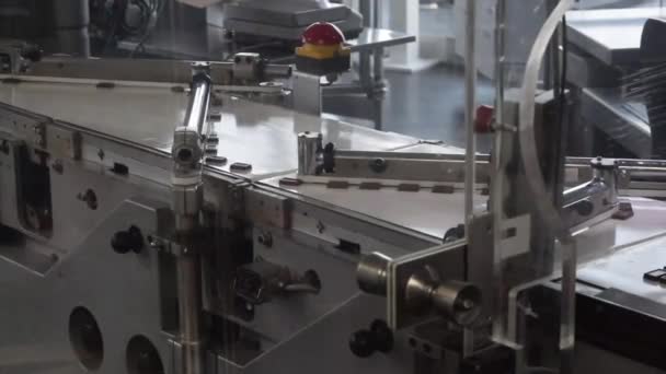 Praliné en fábrica de chocolate — Vídeos de Stock
