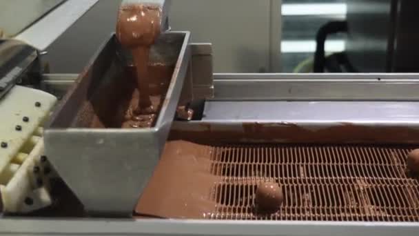 Praline in chocolate factory — Stock Video