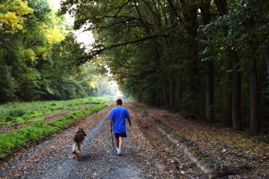 Köpek ile ormanda yürüyen adam