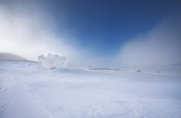 Escena de invierno en las montañas del Cáucaso —  Fotos de Stock