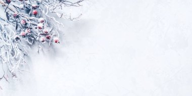 Karla kaplı böğürtlenli dalların Noel arkaplanı.