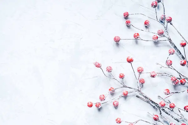 Fondo navideño de ramas cubiertas de nieve con bayas. —  Fotos de Stock