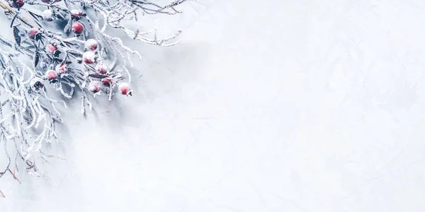 Fondo navideño de ramas cubiertas de nieve con bayas. —  Fotos de Stock