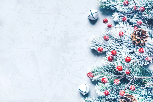 눈덮인 나뭇가지와 열매로 뒤덮인 크리스마스 배경. — 스톡 사진