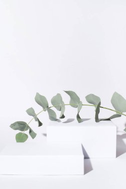 Kozmetik ürünler için beyaz arkaplan.