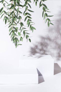 Kozmetik ürünler için beyaz arkaplan.