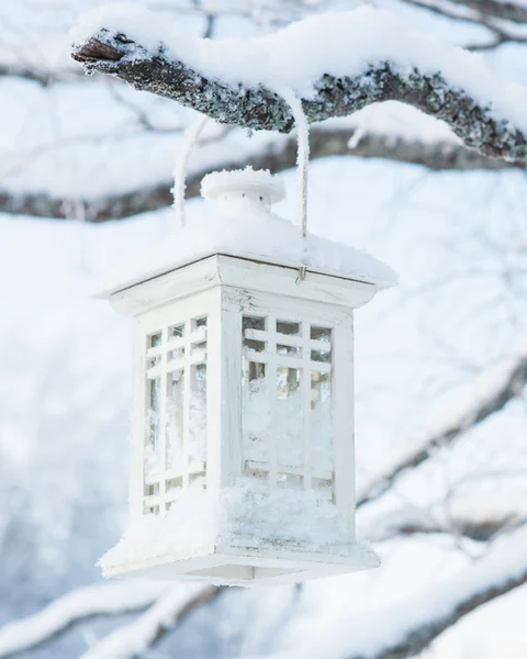 white snowy lantern on tree
