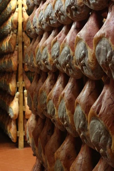 Parma ham maturing in the maturing room — стоковое фото