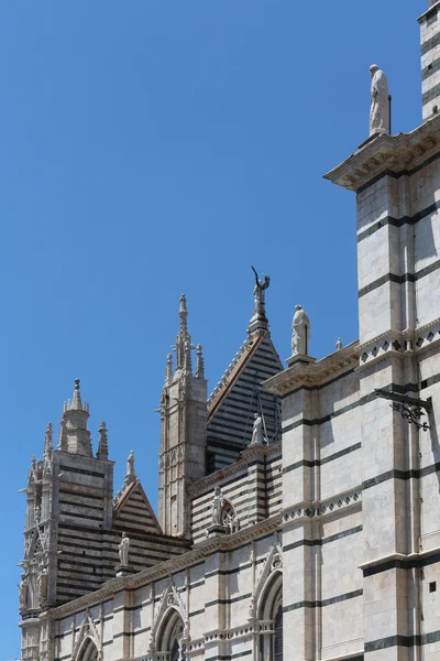 Siena, italy, detail of the cathedral — Stock Photo, Image