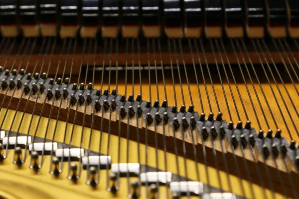 Gran Piano Detalle Arquitectura Interna Cuerdas Musicales — Foto de Stock