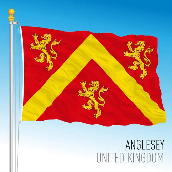 Bandeira Condado Anglesey País Gales Reino Unido Ilustração Vetorial —  Vetores de Stock