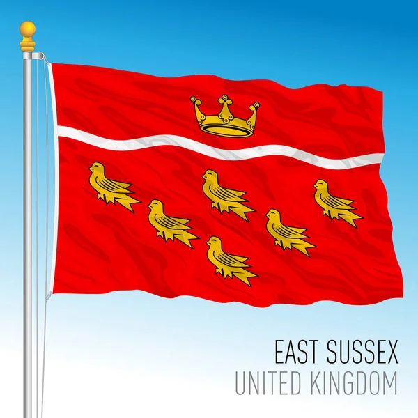 East Sussex County Flagga Storbritannien Vektor Illustration — Stock vektor