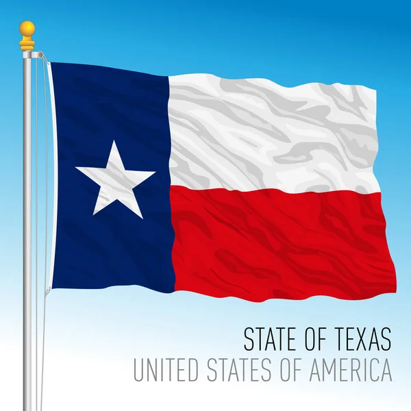 Texas Federal State Flag Stati Uniti Illustrazione Vettoriale — Vettoriale Stock