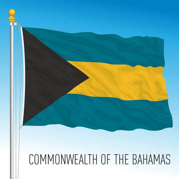 Bahamas Offizielle Nationalflagge Karibik Land Vektorillustration — Stockvektor