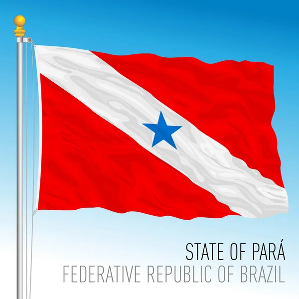 Staat Para Officiële Regionale Vlag Brazilië Vectorillustratie — Stockvector