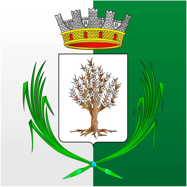 Ciudad Spilamberto Módena Italia Escudo Armas Del Municipio Ilustración Vectorial — Archivo Imágenes Vectoriales