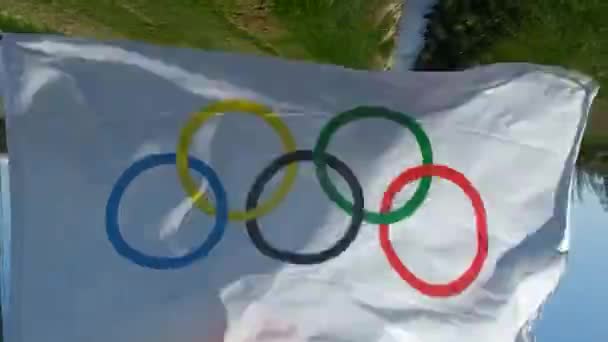 Olympic flagga Brasilien 2016 — Stockvideo