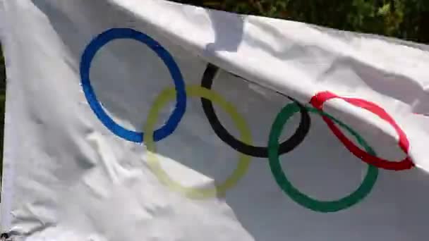 Bandiera olimpica nel vento — Video Stock