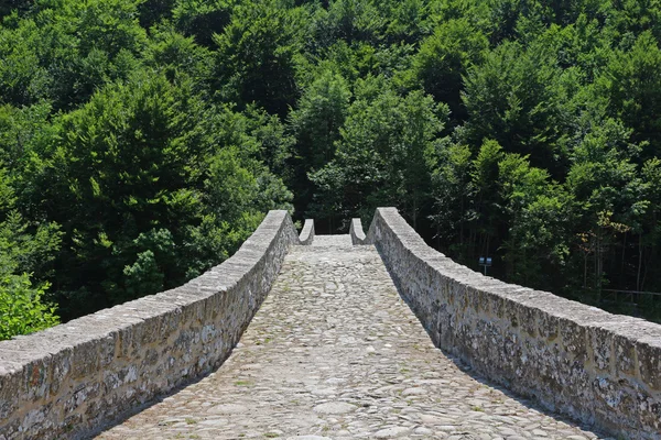 Oude brug — Stockfoto