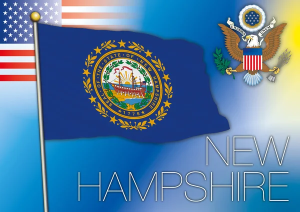 New Hampshire-ben minket az állami lobogó — Stock Vector