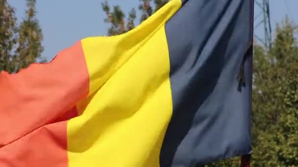 Romania flag — Stock Video