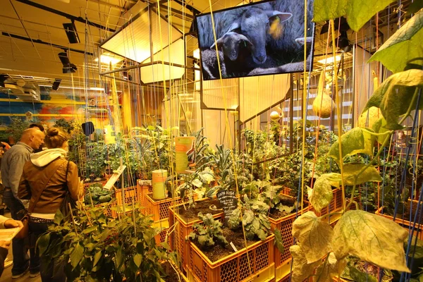 Milan - 19 Eylül 2015: Alman Pavyonu, Expo 2015 dünya sergisi.