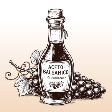 Modena, İtalya 'dan balzamik sirke, yapay zekayla yaratılmış vektör illüstrasyonu, bej renkli bir arkaplanda izole edilmiş..