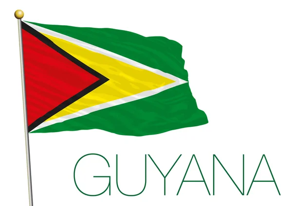 Guyana offizielle Nationalflagge, Südamerika, Vektorillustration — Stockvektor