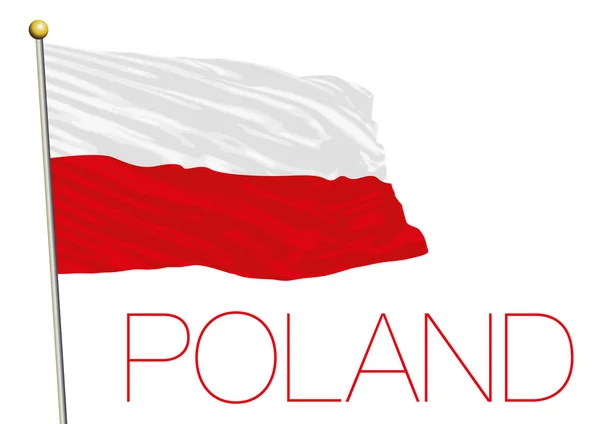 Polen vlag geïsoleerd op de witte achtergrond — Stockvector