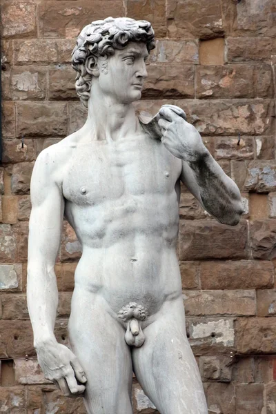 Florencja, Włochy - 2015 listopadzie, r.: Statua David przez Michelangelo Buonarroti, placu Signoria — Zdjęcie stockowe