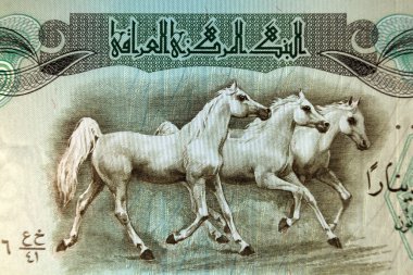 IRAQ - APPROXIMATELY 1980: Horses running on 25 Iraqui Dinars 1980 Banknote from Iraq clipart