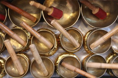 Modena, İtalya - Ocak 2016: Ghirlandina çan kulesi ve Modena Cathedra