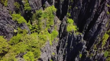 Coron, Palawan, Filipinler 'deki güzel kireçtaşı uçurumlarının hava manzarası