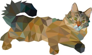 Kedi. Beyaz arka planda benekli kedi. Benekli kedi beyaz arka planda yatıyor..