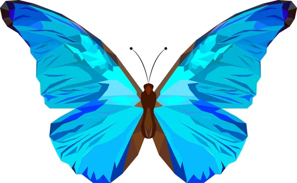 Papillon Papillon Aux Ailes Bleues Papillon Aux Ailes Bleu Clair — Image vectorielle