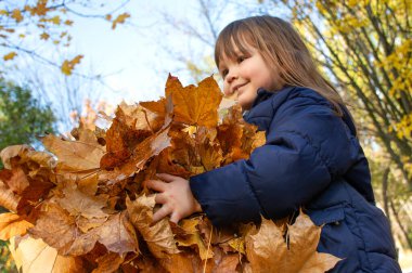 Neşeli küçük kız ellerinde renkli sonbahar yaprakları tutuyor..