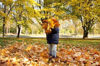 Parkta sonbahar yapraklarıyla oynayan çocuk.