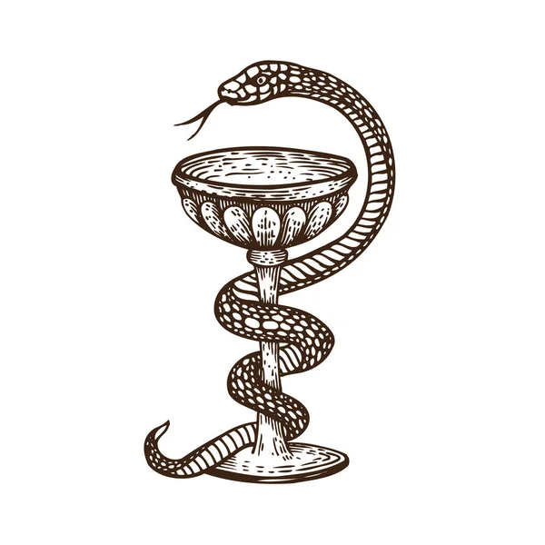 Illustration vectorielle style vintage dessinée à la main. Le vaisseau Hygea est l'un des symboles de la pharmacie serpent médical autour bol, tasse. Caduceus symbole pour pharmacie, médecin, premiers soins, soins de santé — Image vectorielle