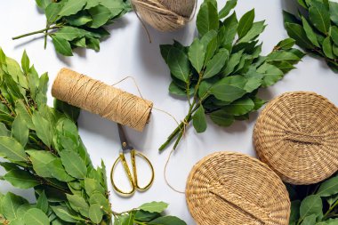 Defne, beyaz halat arkaplanındaki dalları dallar