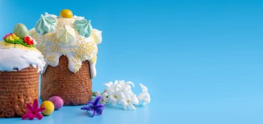 Renkli yumurtalı Paskalya pastaları. Beyaz Hyacinthus. tatil kartı pankartı