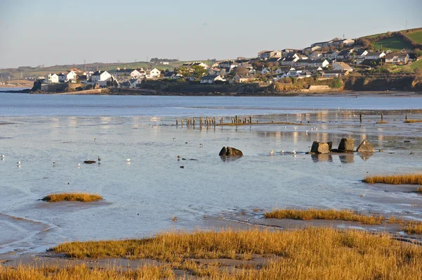 Appledore in North Devon — Stock Photo, Image